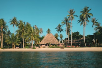 A tropical beach scene with tall palm trees lining a sandy shore. In the center, there is a thatched-roof building surrounded by greenery. The ocean water in the foreground appears calm, reflecting the clear blue sky above.