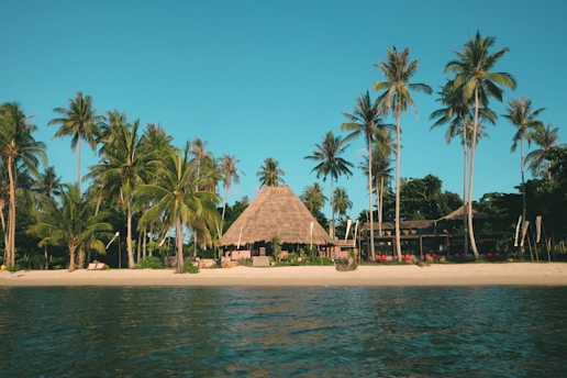 A tropical beach scene with tall palm trees lining a sandy shore. In the center, there is a thatched-roof building surrounded by greenery. The ocean water in the foreground appears calm, reflecting the clear blue sky above.
