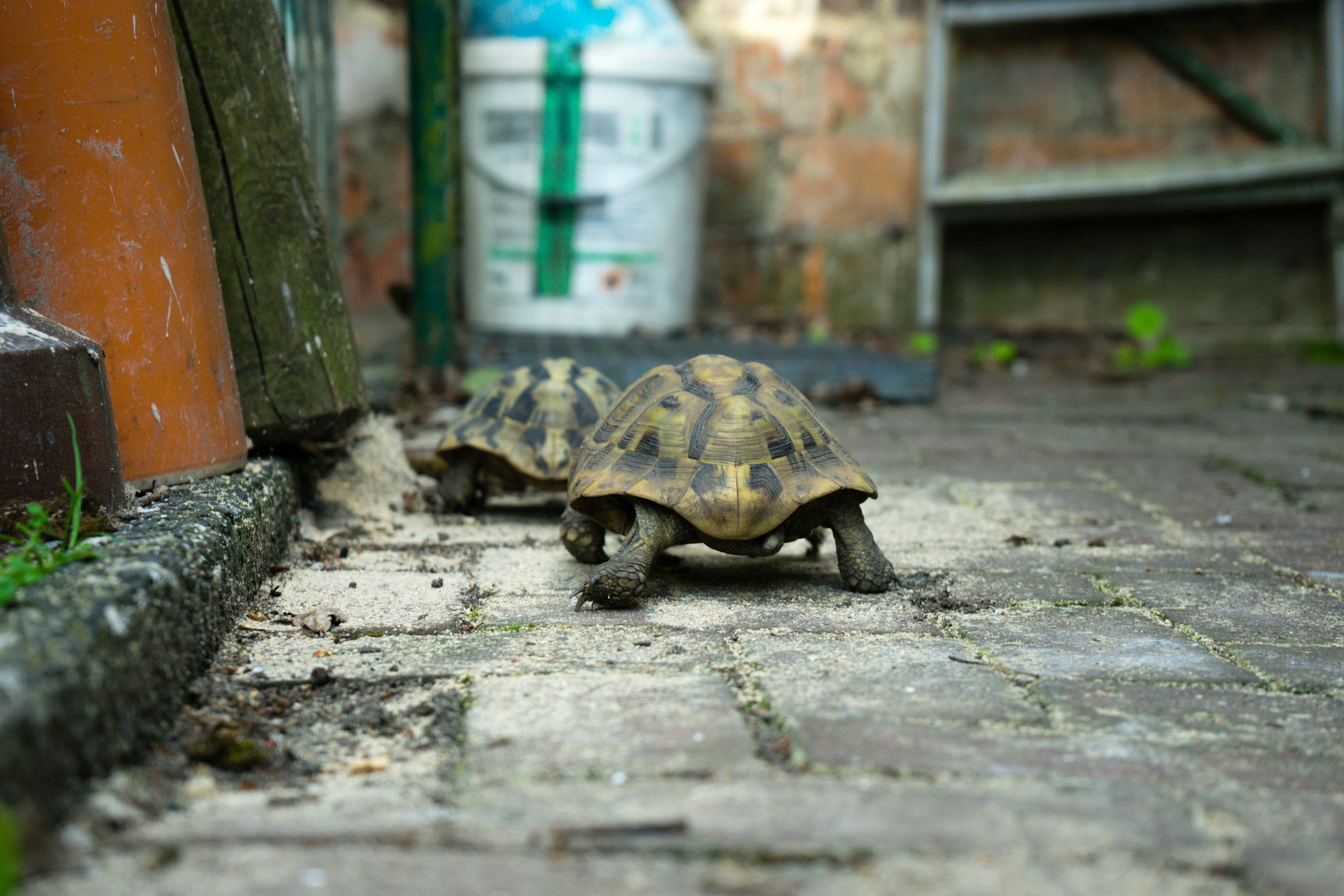 Free Unsplash photo from Jan Bischop