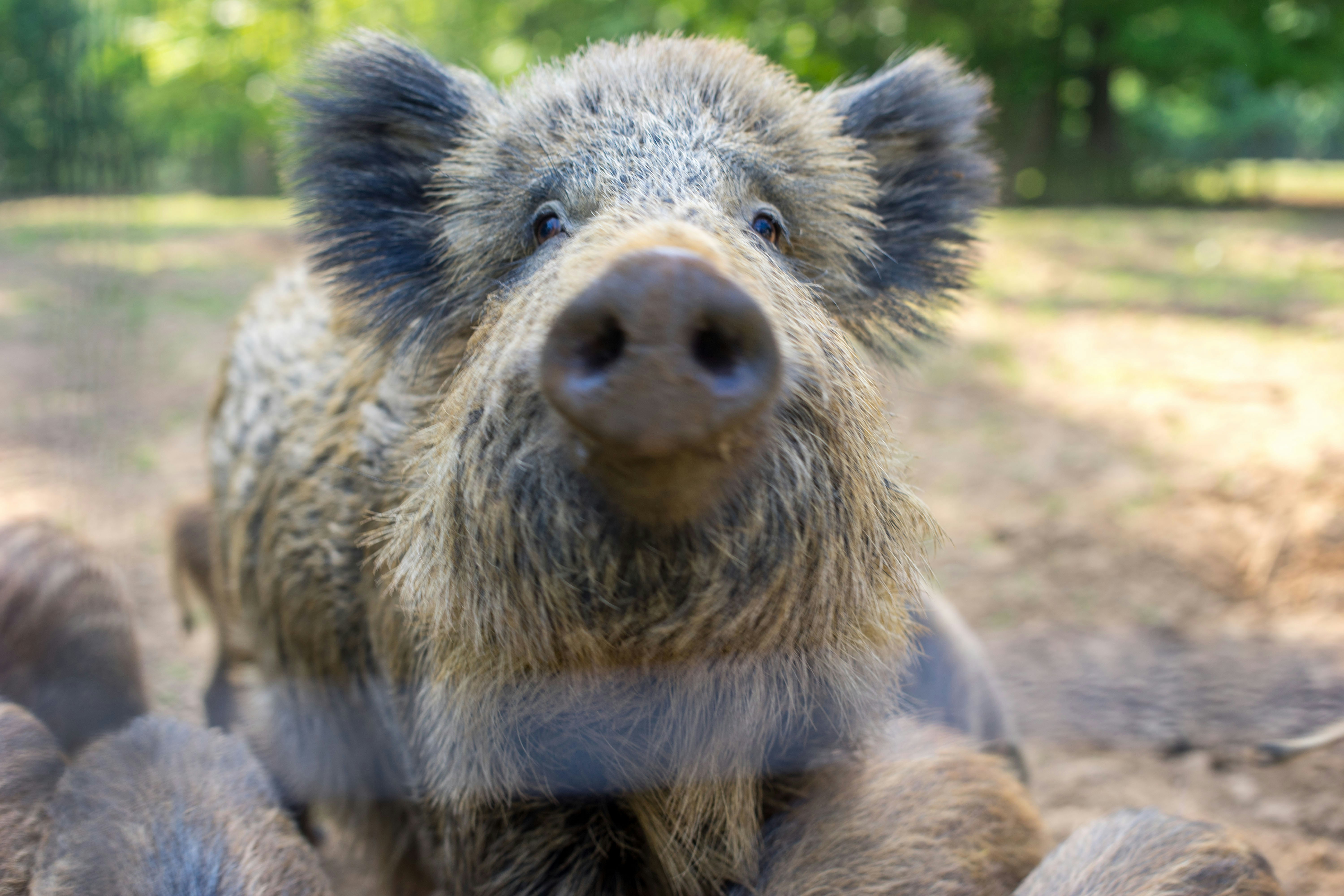 Free Unsplash photo from Jan Bischop