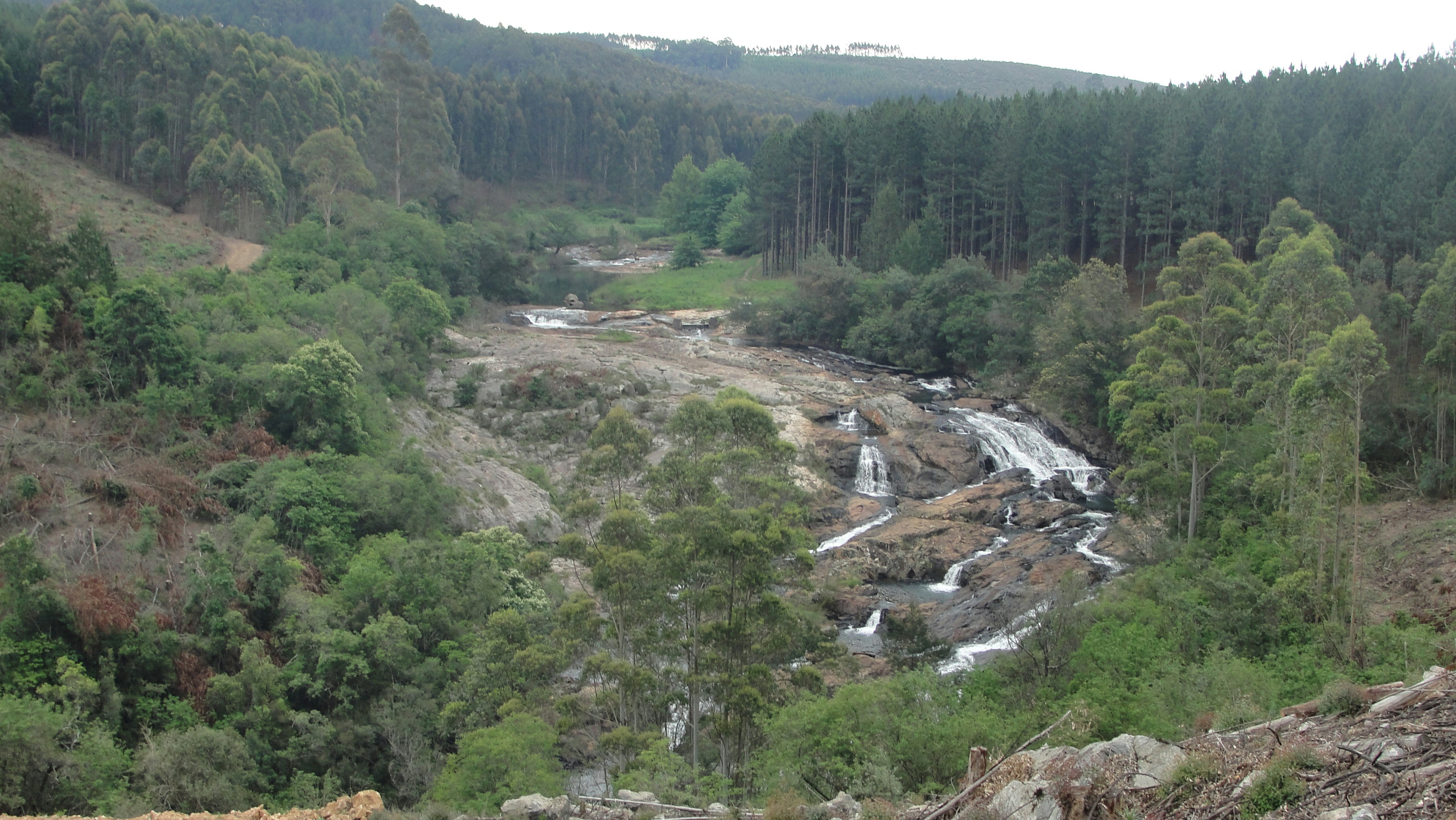 Free Unsplash photo from Tebogo Lesley