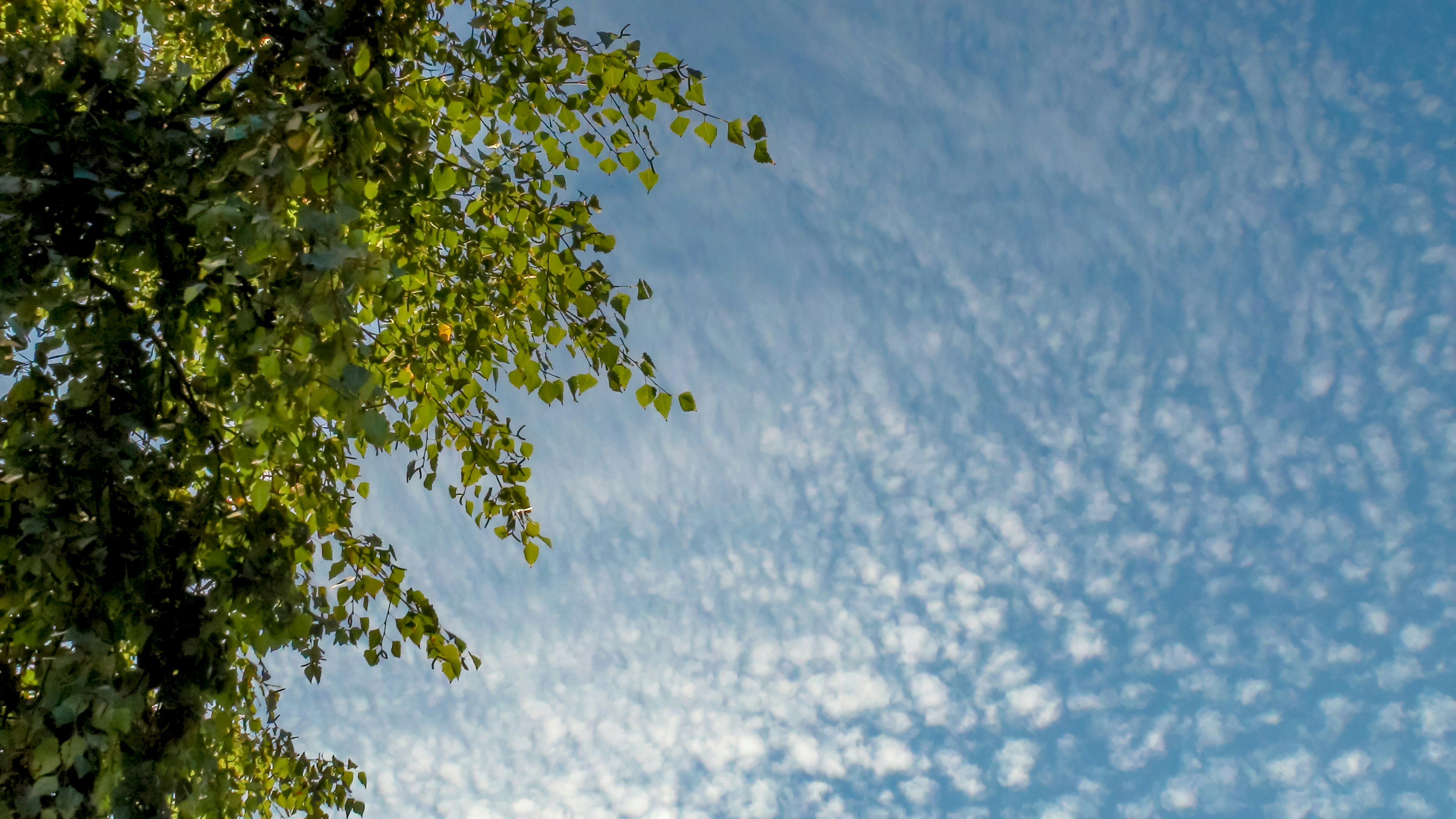 Free Unsplash photo from Elena Ilyinskaya