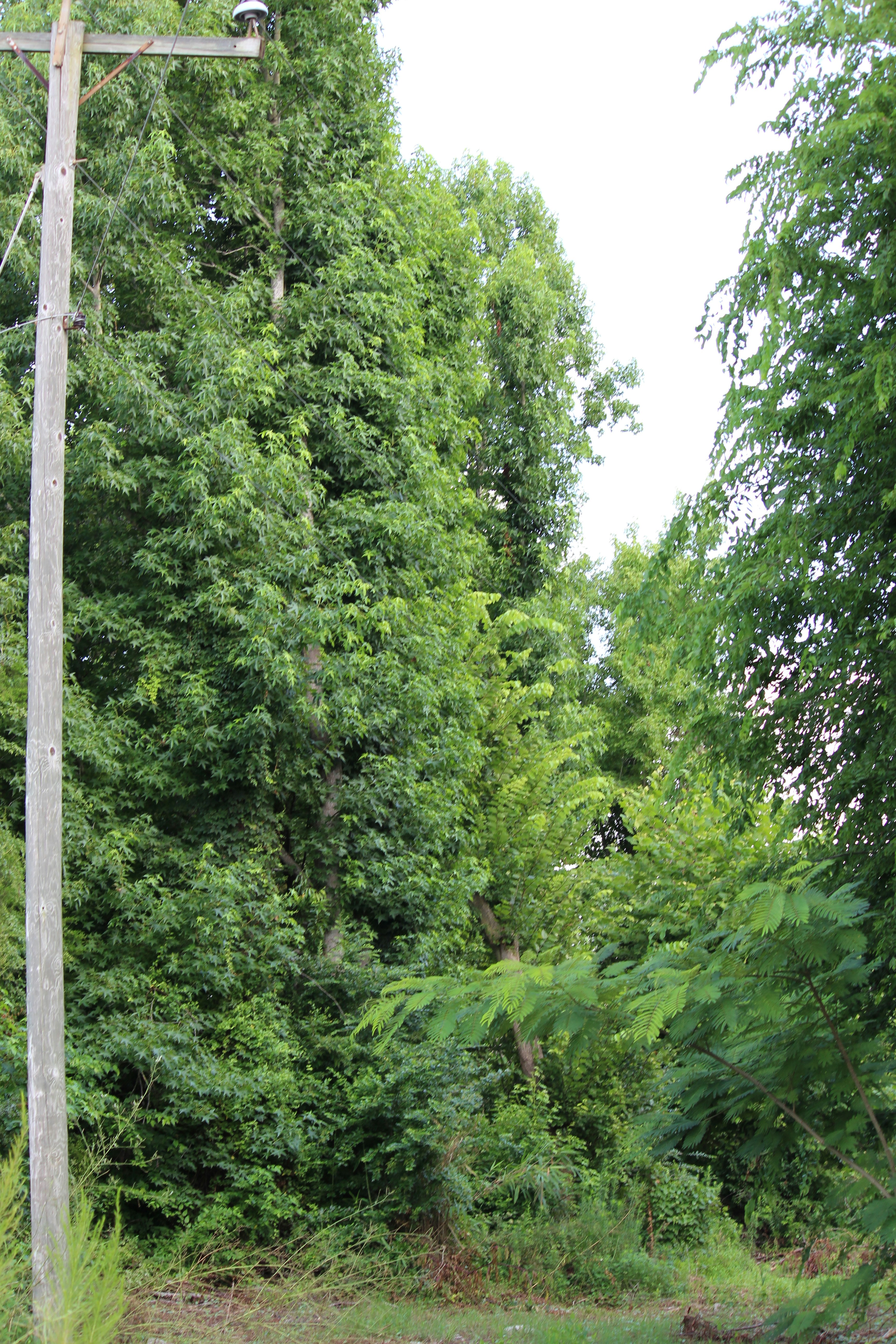 Free Unsplash photo from Brian Reilly