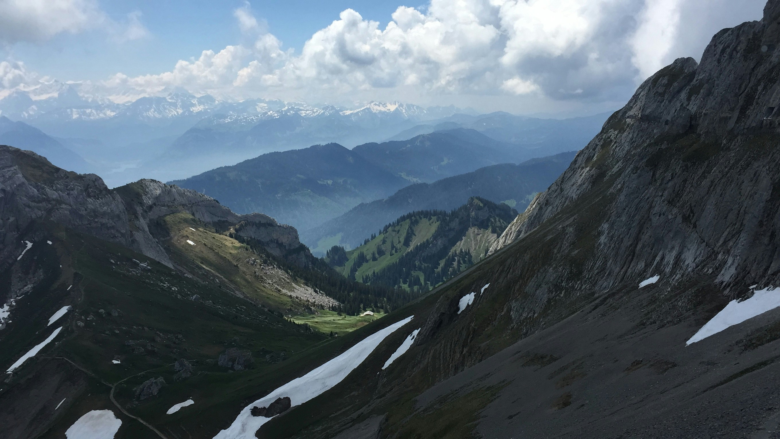 Free Unsplash photo from Sophia  Montoya