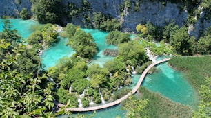 aerial photography of green forest near body of water