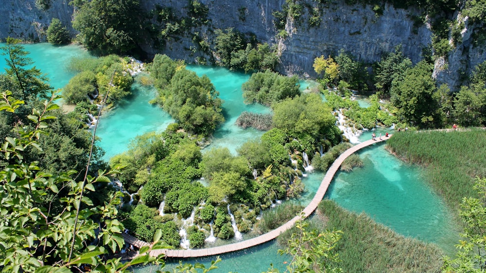 aerial photography of green forest near body of water