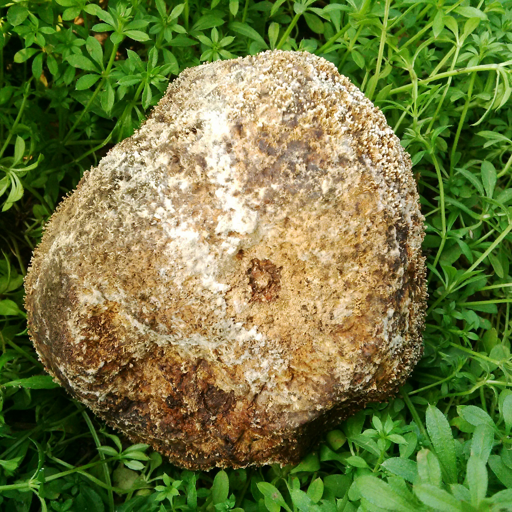 Free Unsplash photo from Lee King