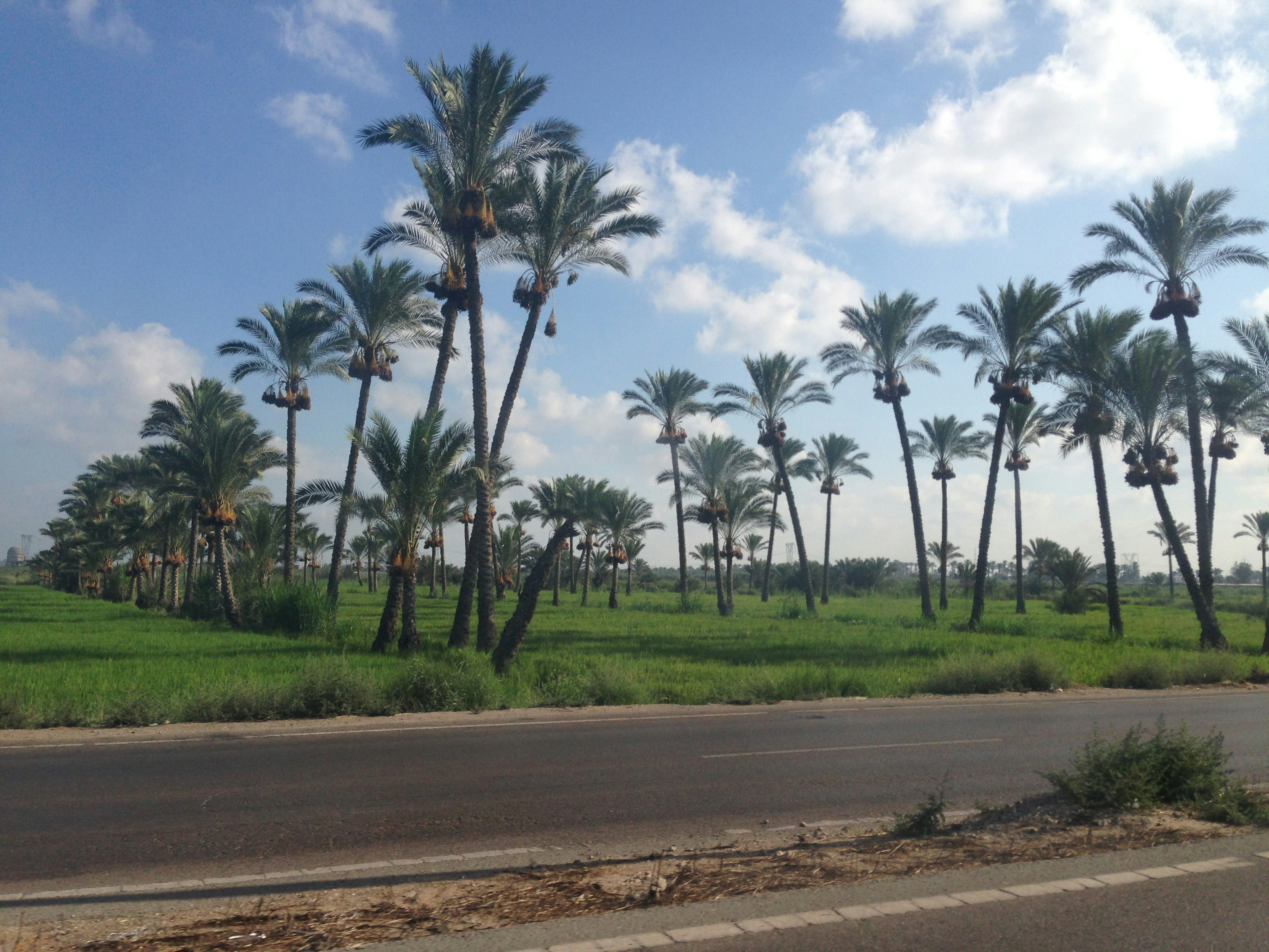 Free Unsplash photo from Ahmed Gamal