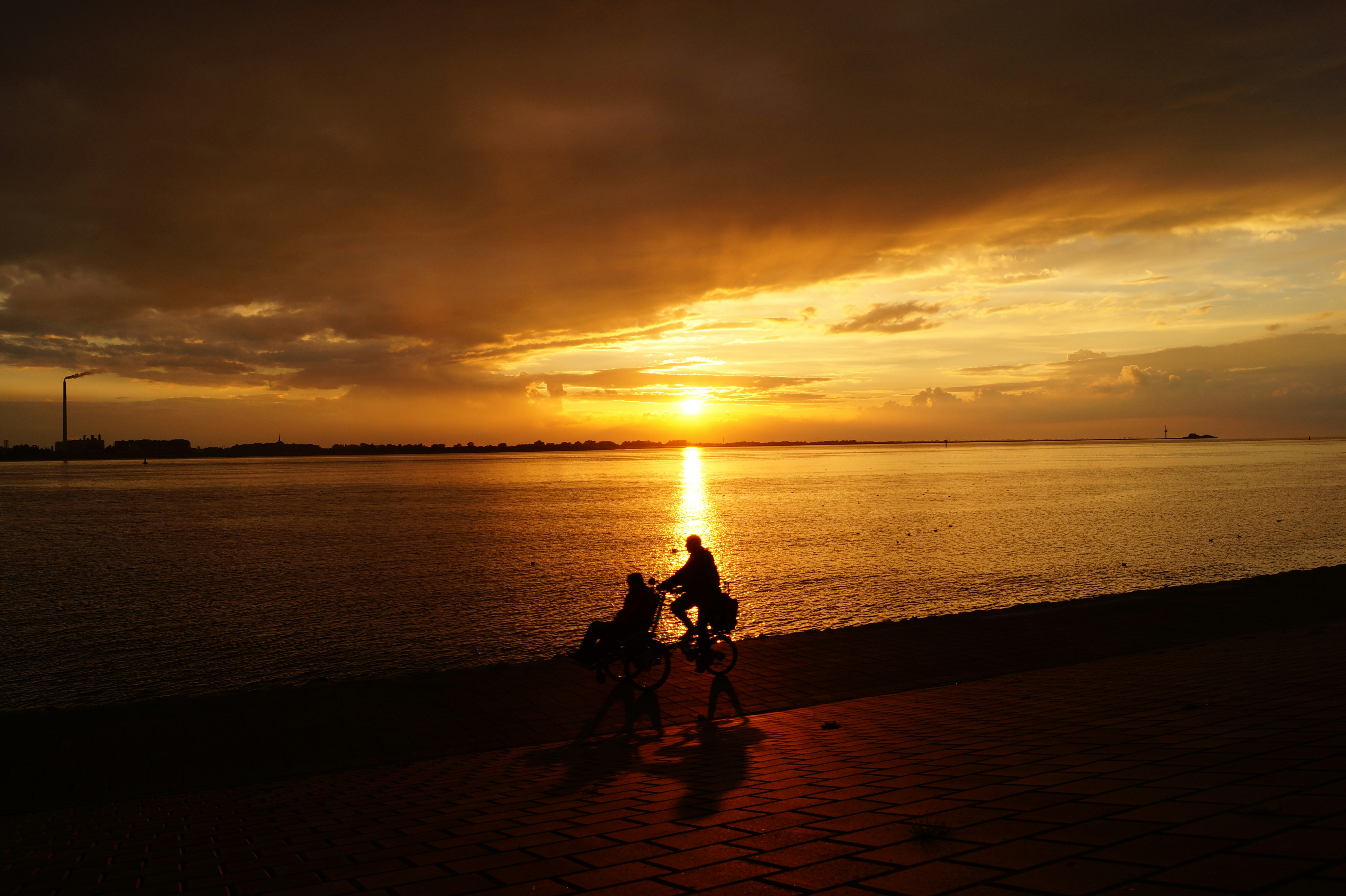 Free Unsplash photo from marion lucas