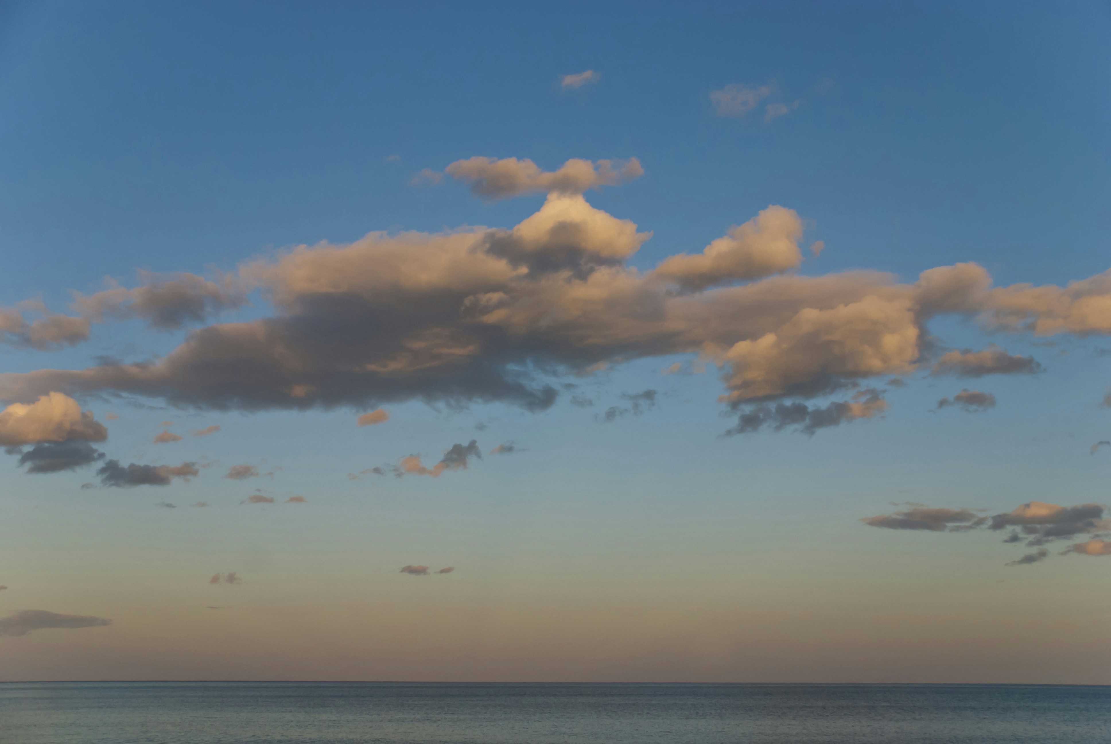 Free Unsplash photo from Cata Ionescu Vlad