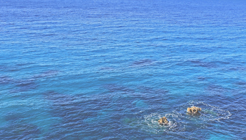 body of water during daytime