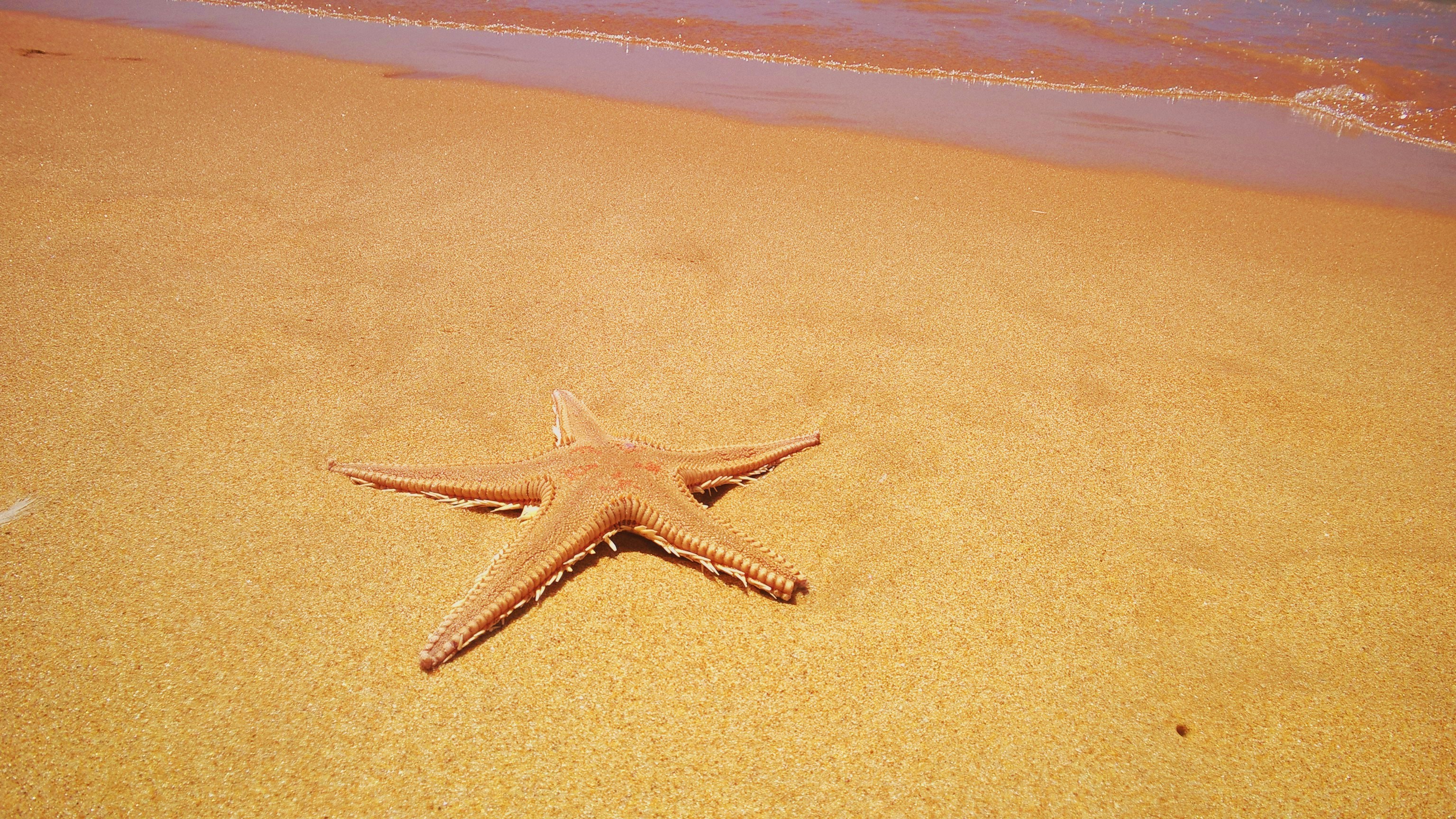 Free Unsplash photo from Patricia Valério