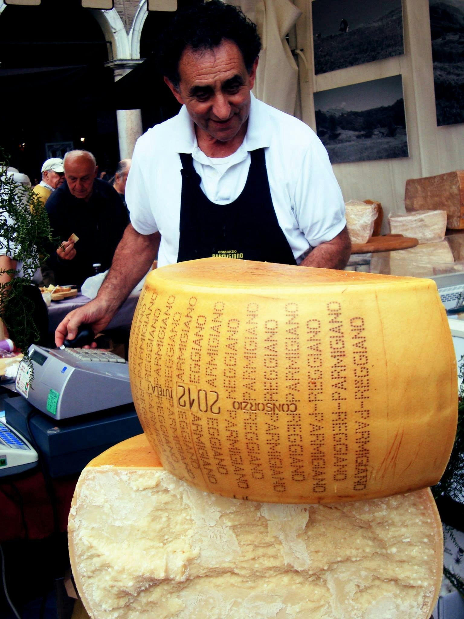 Free Unsplash photo from Patricia Valério