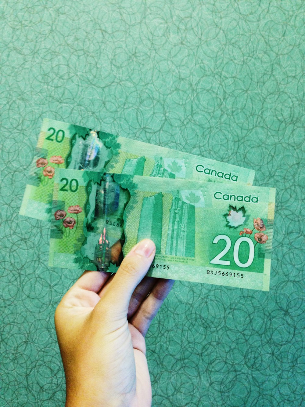 20 캐나다 달러 지폐 2장을 들고 있는 사람