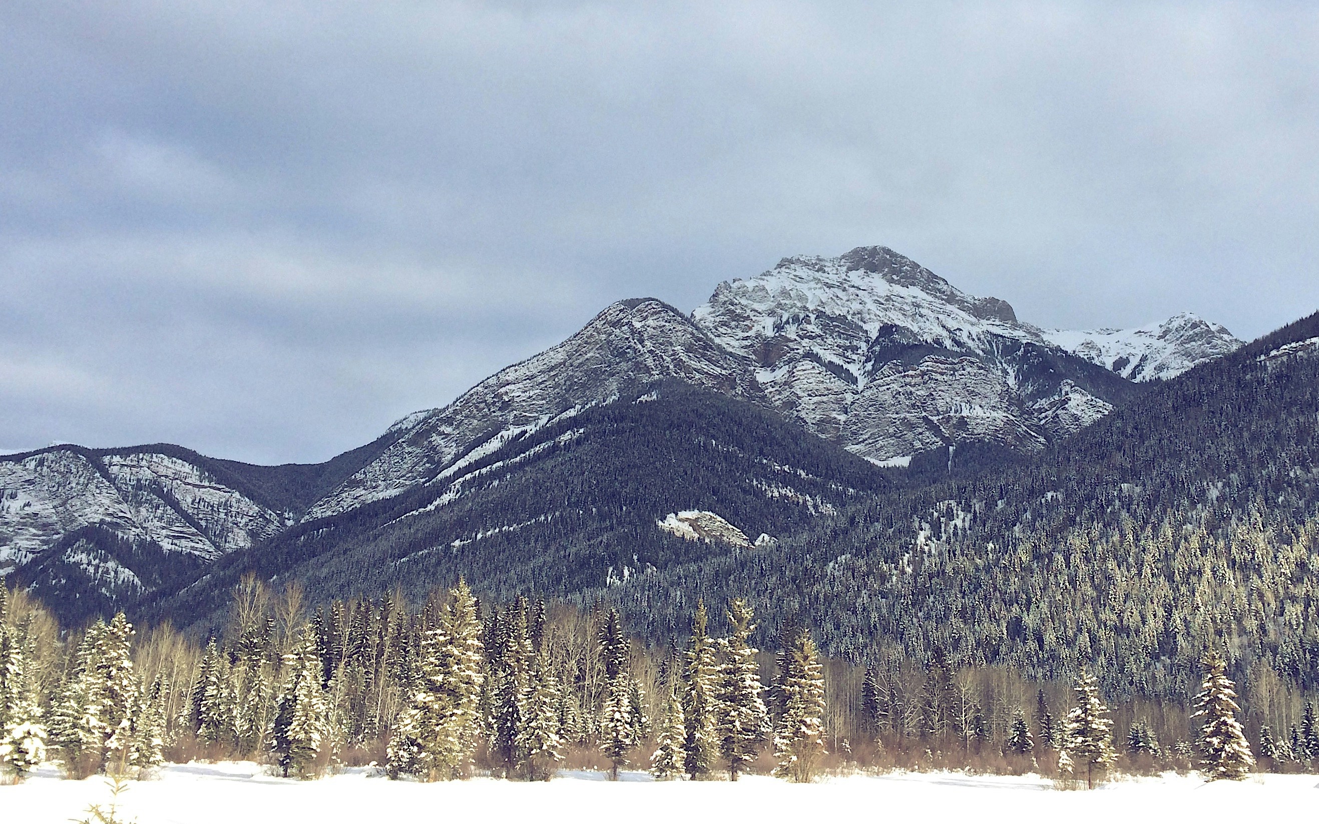 Free Unsplash photo from Pat Ho