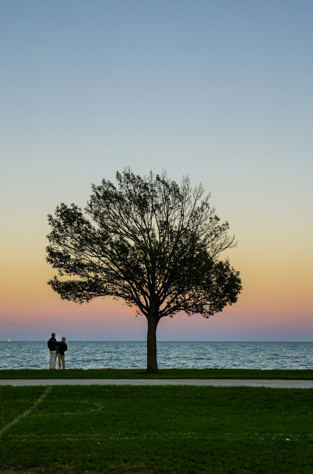 Tree silhouettes against the beach protects lovers who hold each other close