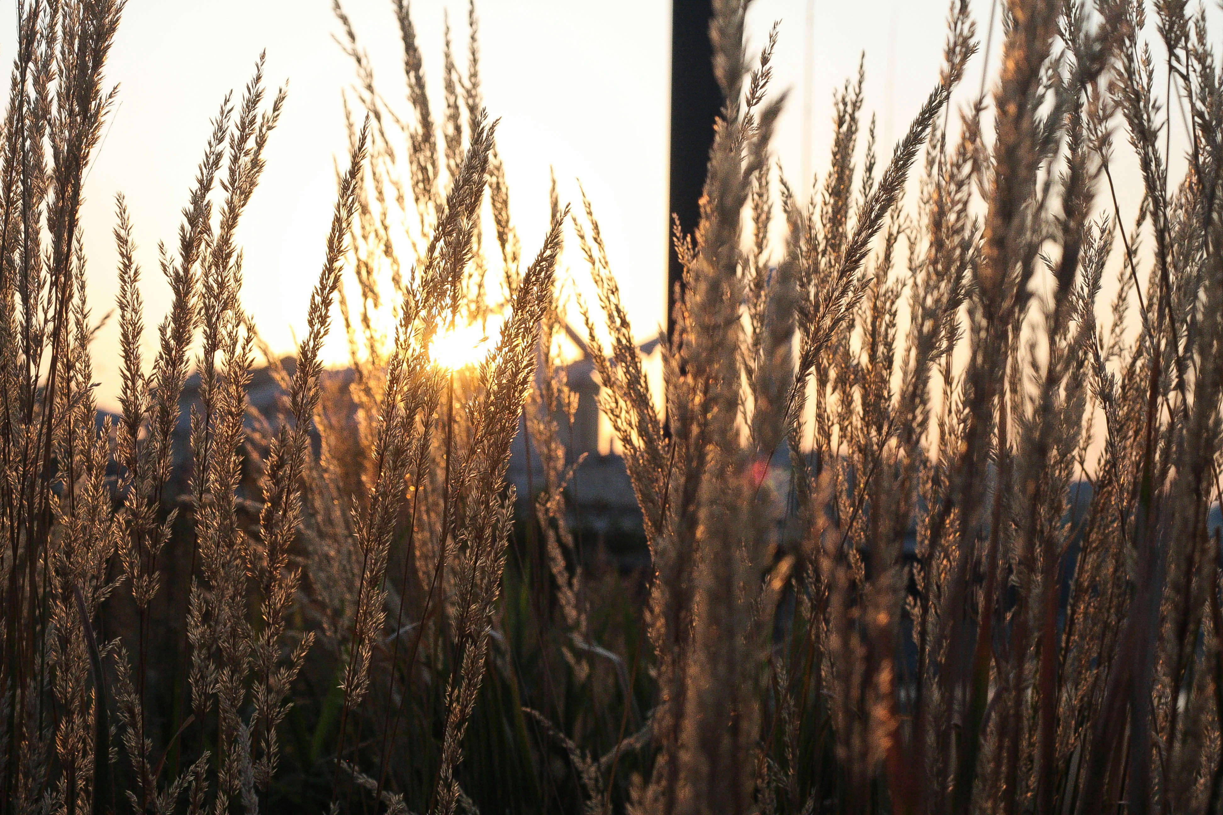 Free Unsplash photo from Catherine Zaidova