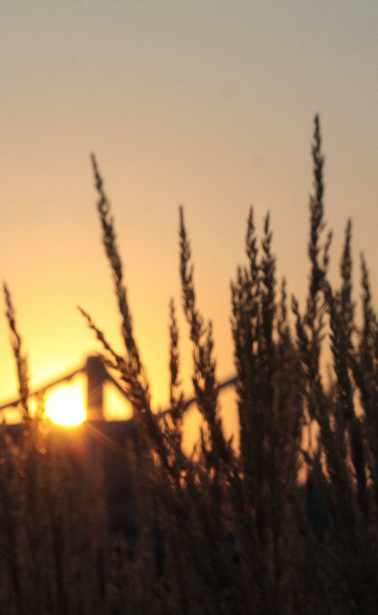 Free Unsplash photo from Catherine Zaidova