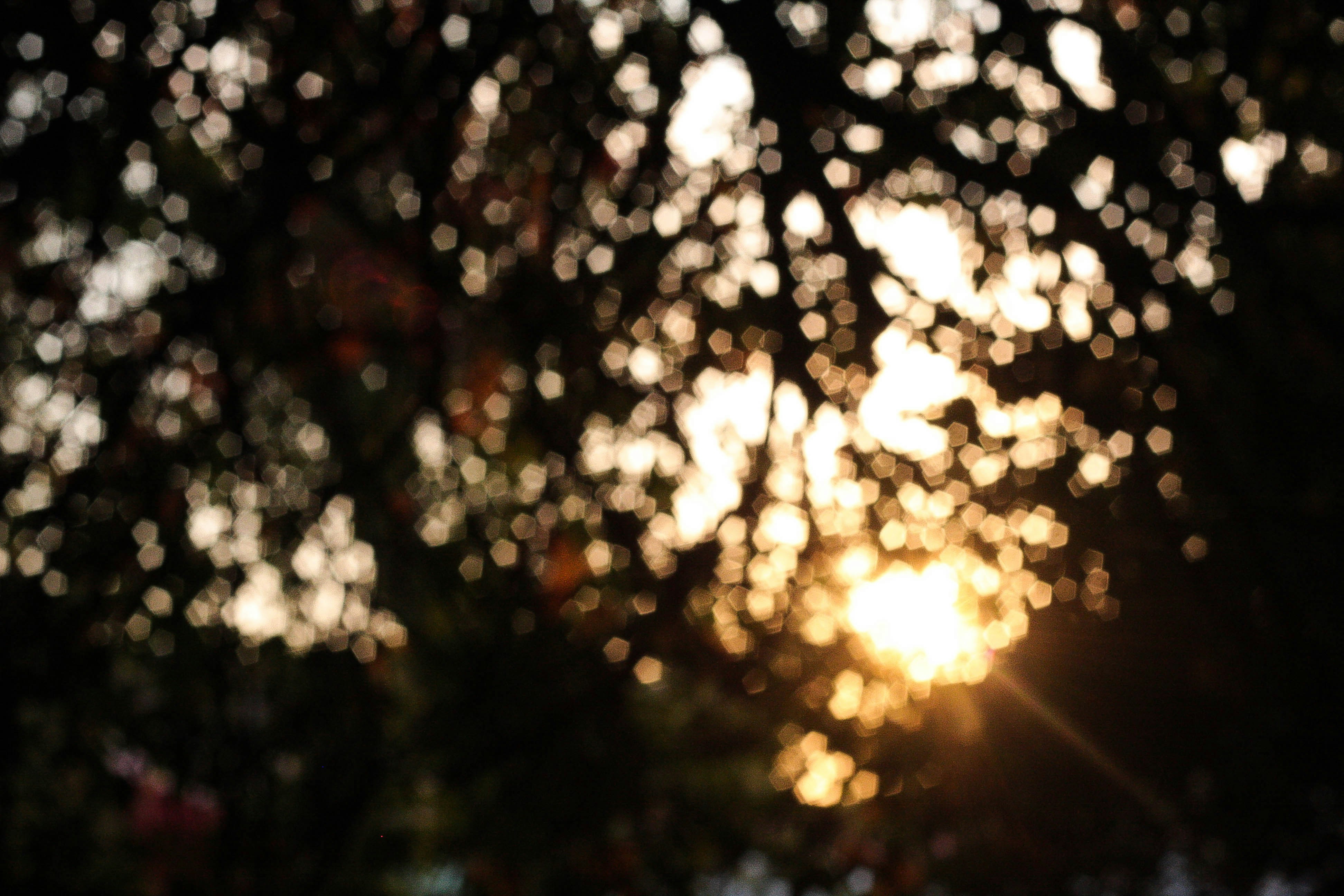 Free Unsplash photo from Catherine Zaidova