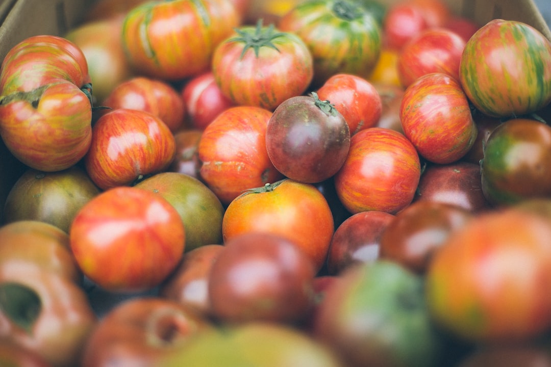 bunch of tomatoes