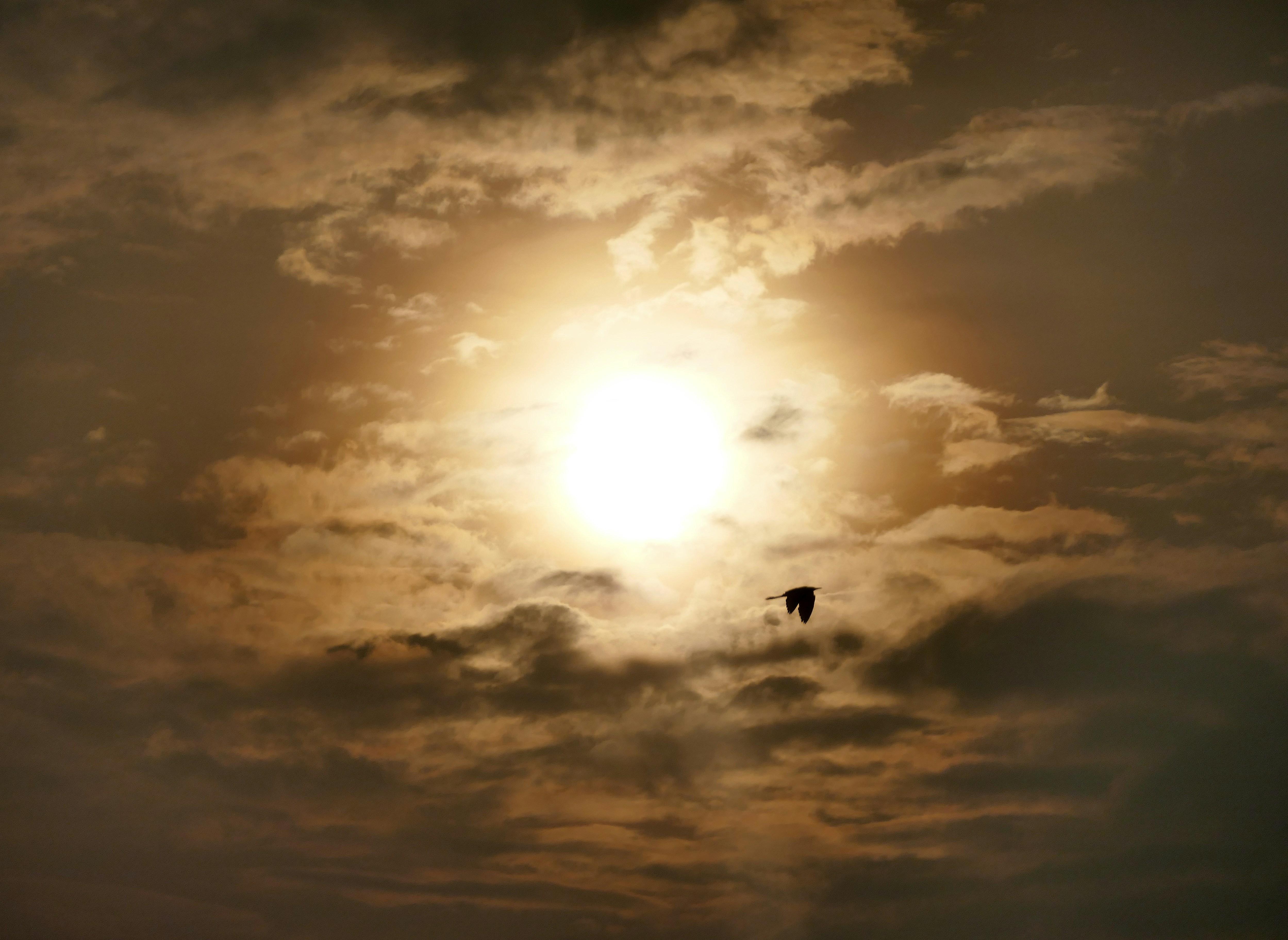 Free Unsplash photo from qinghill