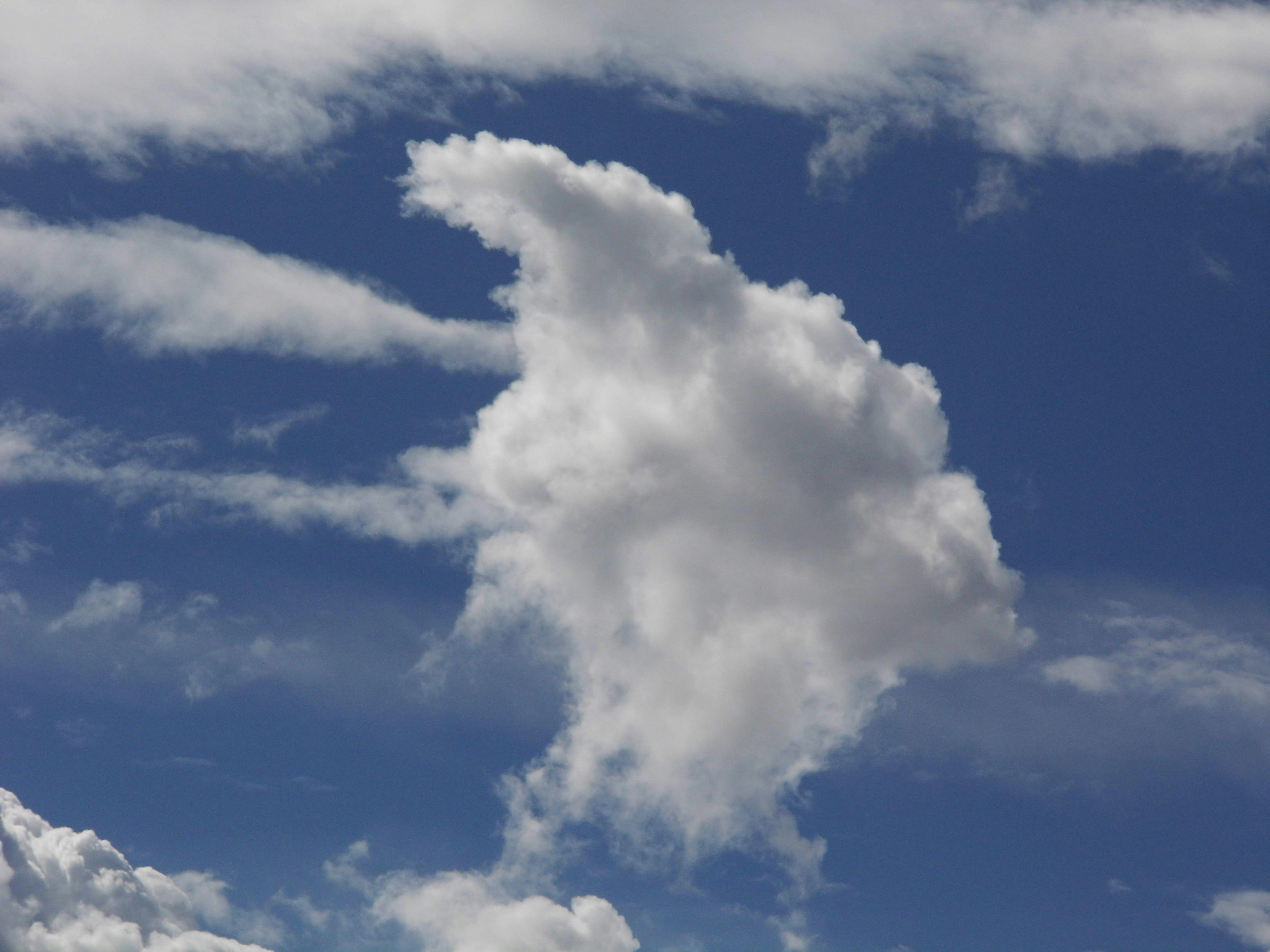 Free Unsplash photo from Alfred Lopez