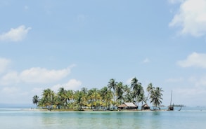 house near surrounded by coconut tree