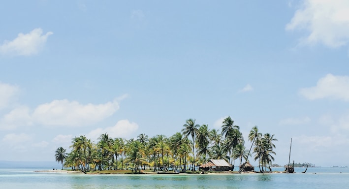 house near surrounded by coconut tree