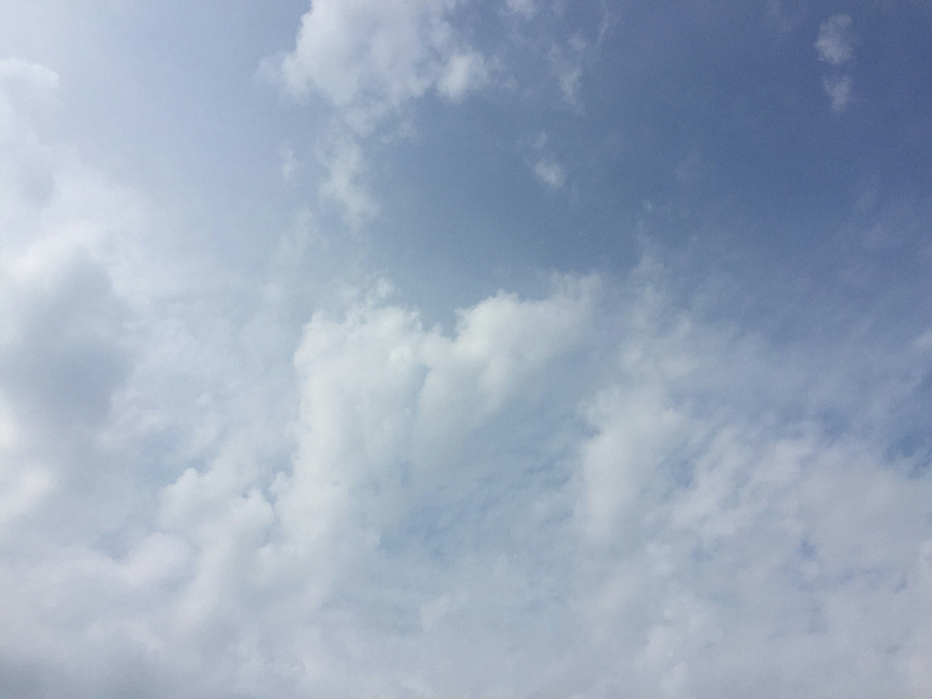 Free Unsplash photo from Dana Barrett