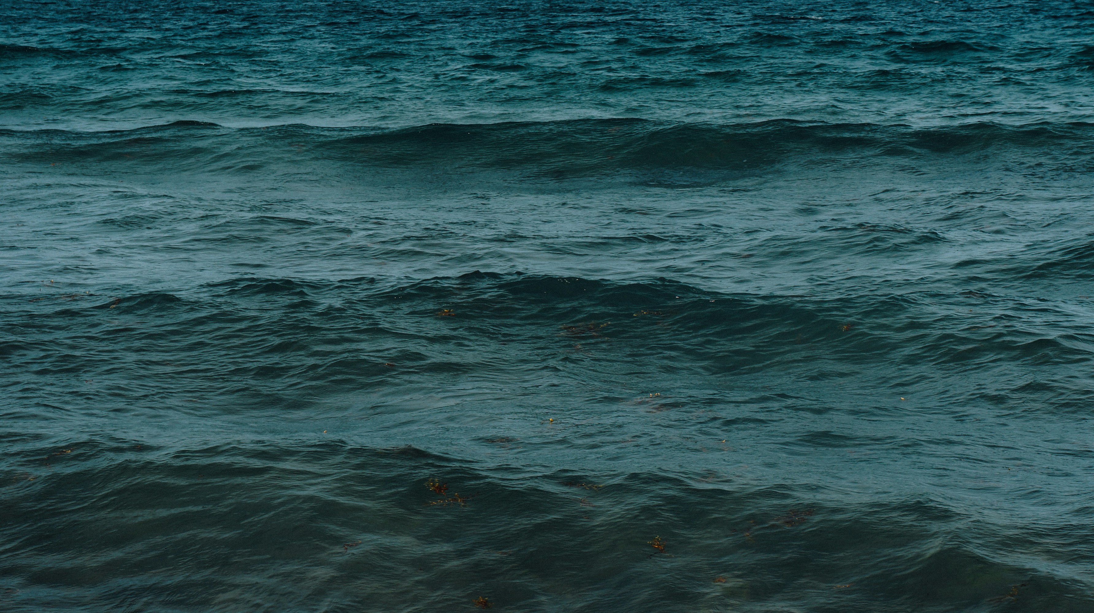 Free Unsplash photo from Andrés Canchón