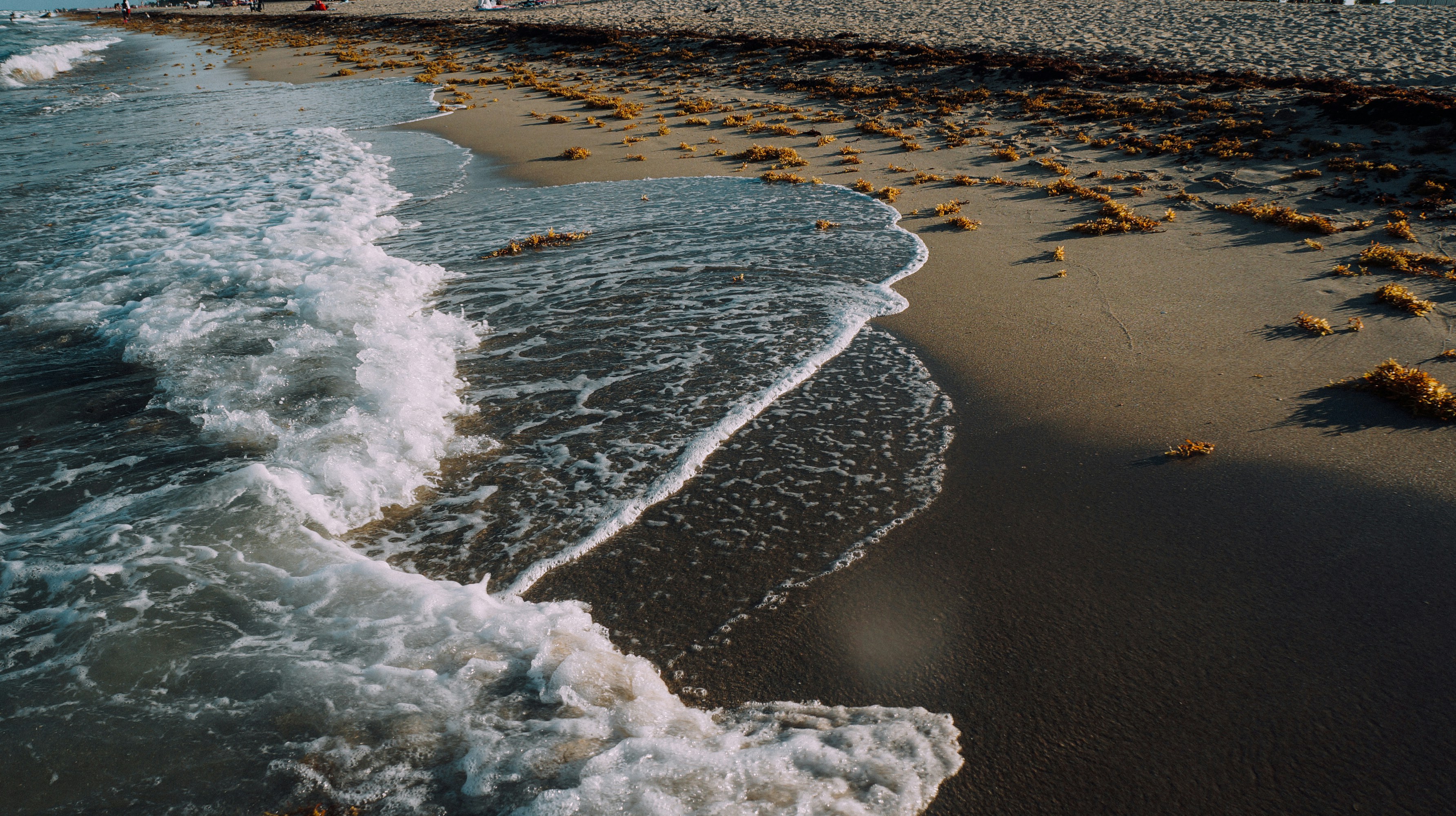 Free Unsplash photo from Andrés Canchón