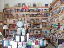 A cozy bookstore or personal library with wooden shelves filled with a vast array of books, from fiction to non-fiction. A globe sits prominently on a table, surrounded by more books and a lamp. The shelves are packed to the brim, indicating a love for literature and exploration.
