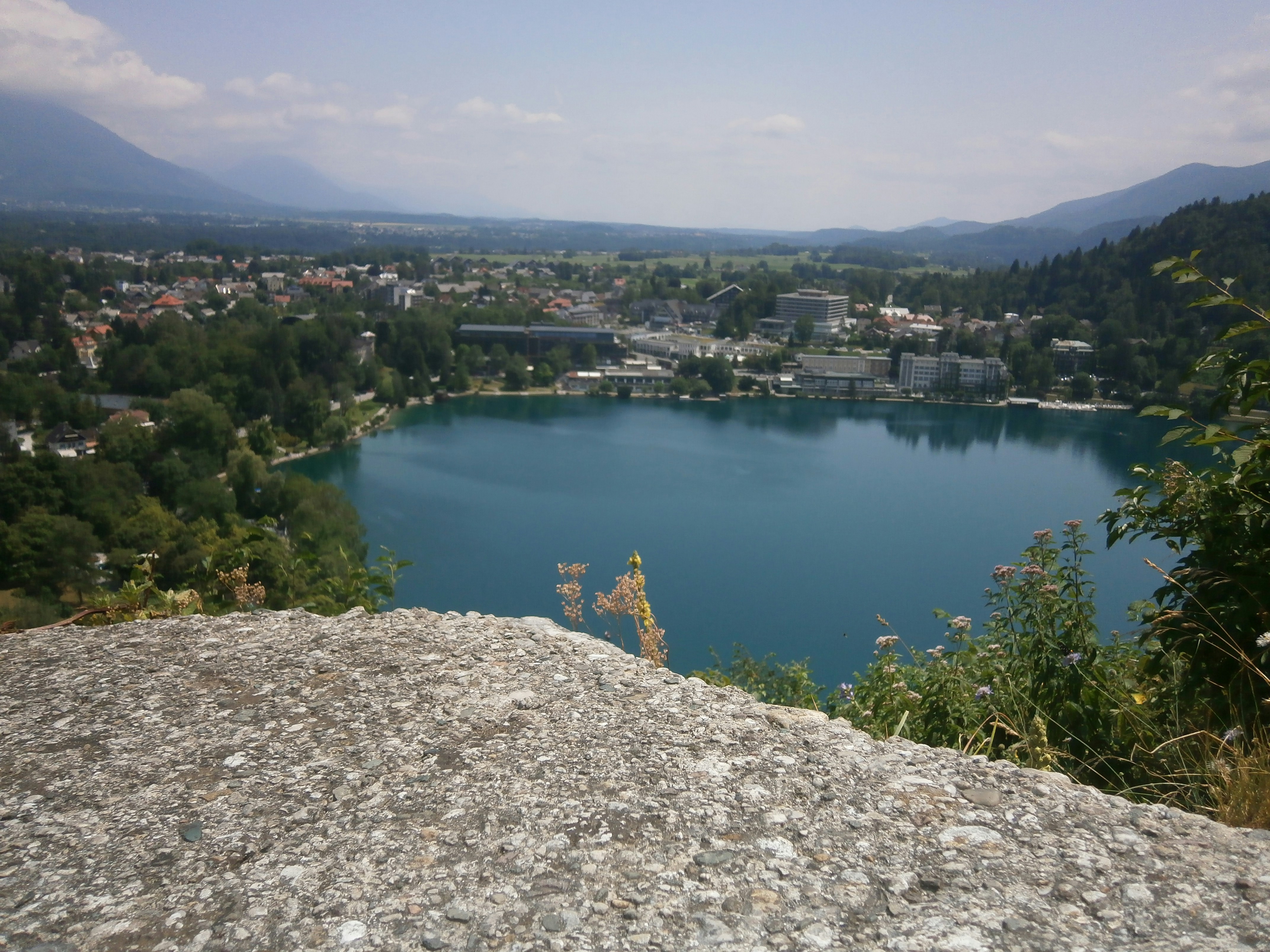 Free Unsplash photo from Nemanja Jocic