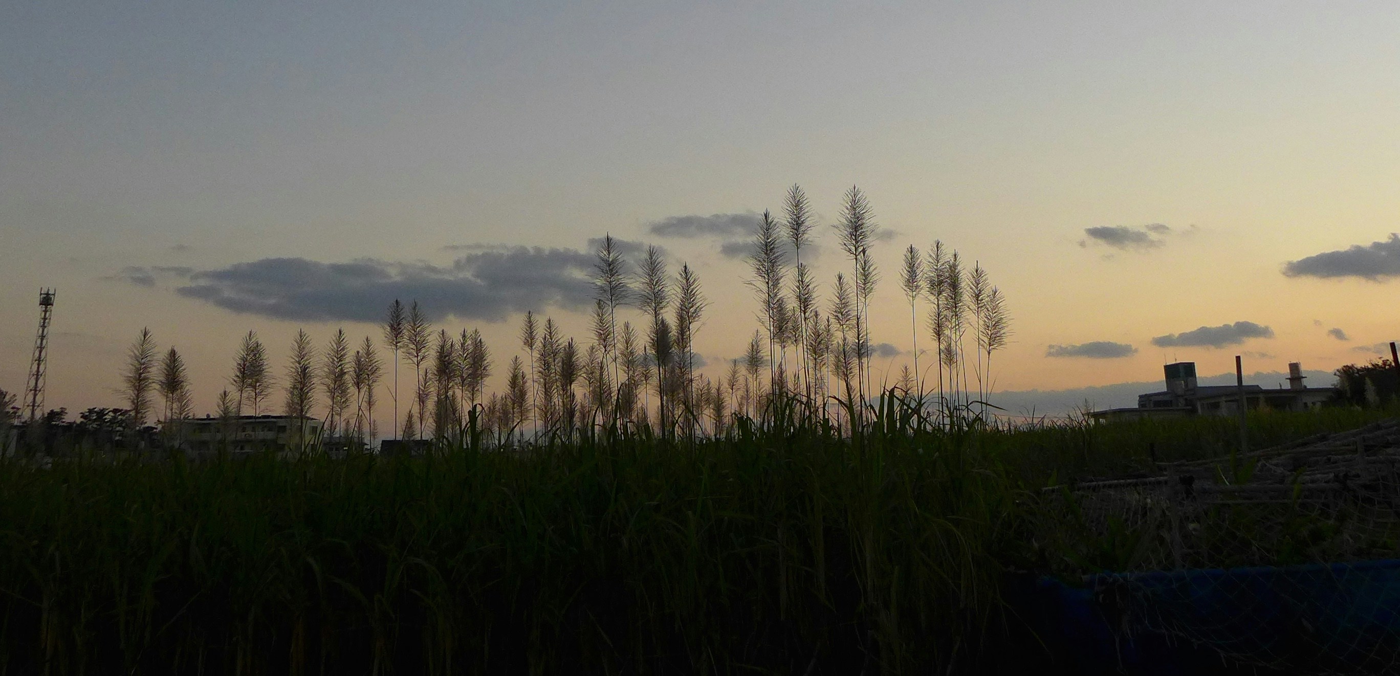 Free Unsplash photo from Phoebe Sze