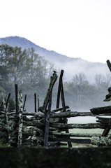 grey wooden fence overlooking the trees
