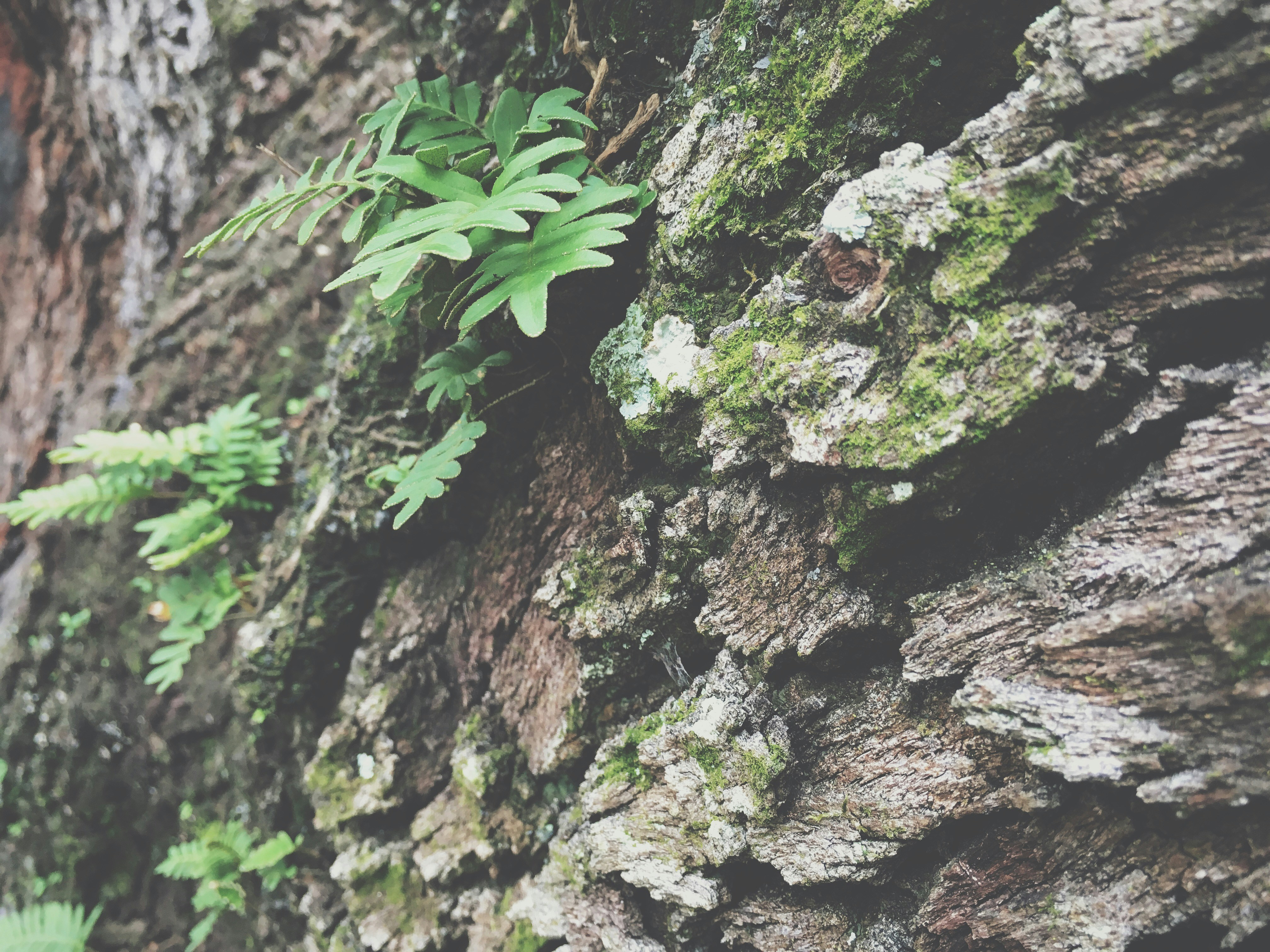 Free Unsplash photo from Cierra Woodard