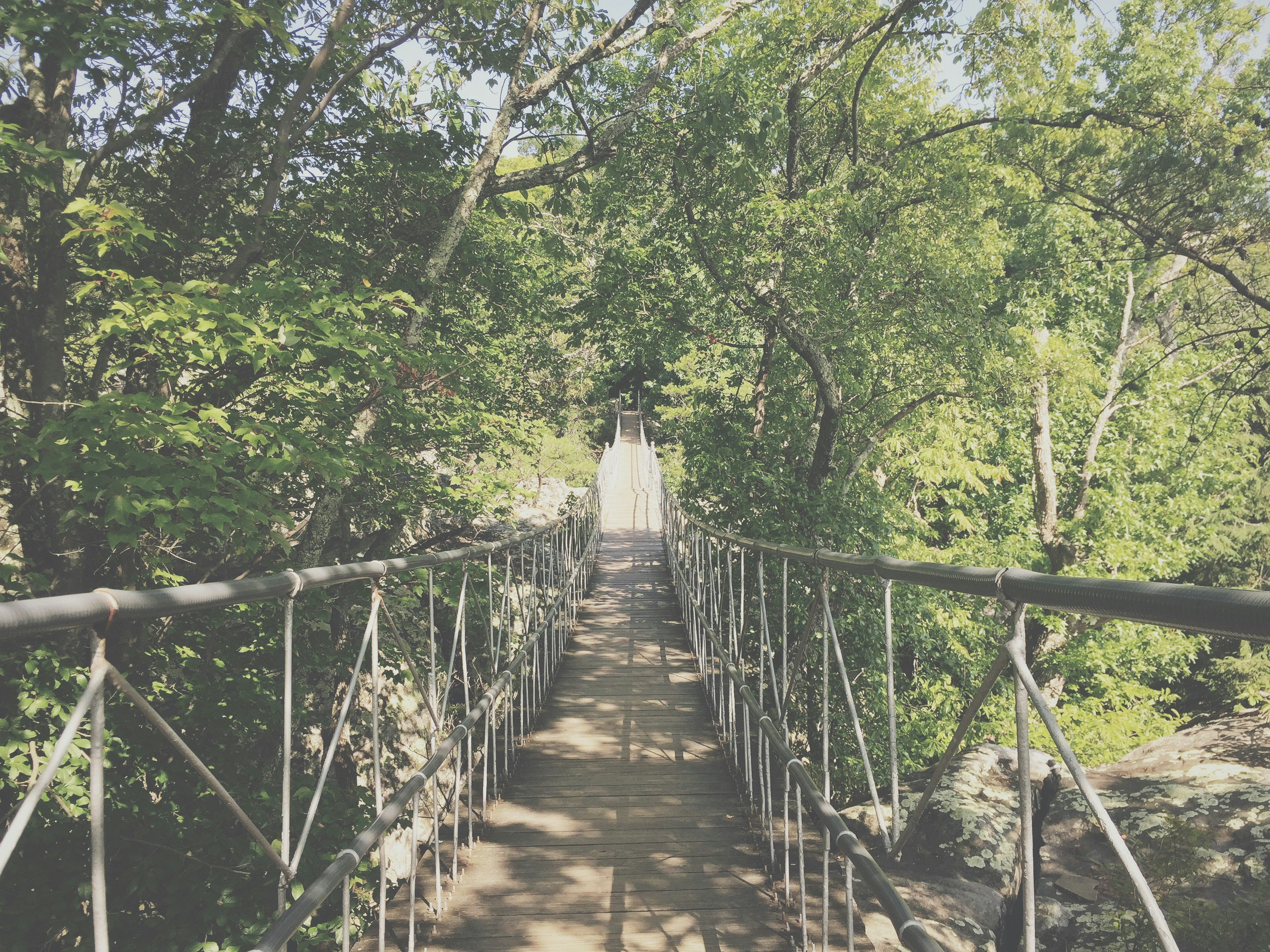 Free Unsplash photo from Cierra Woodard