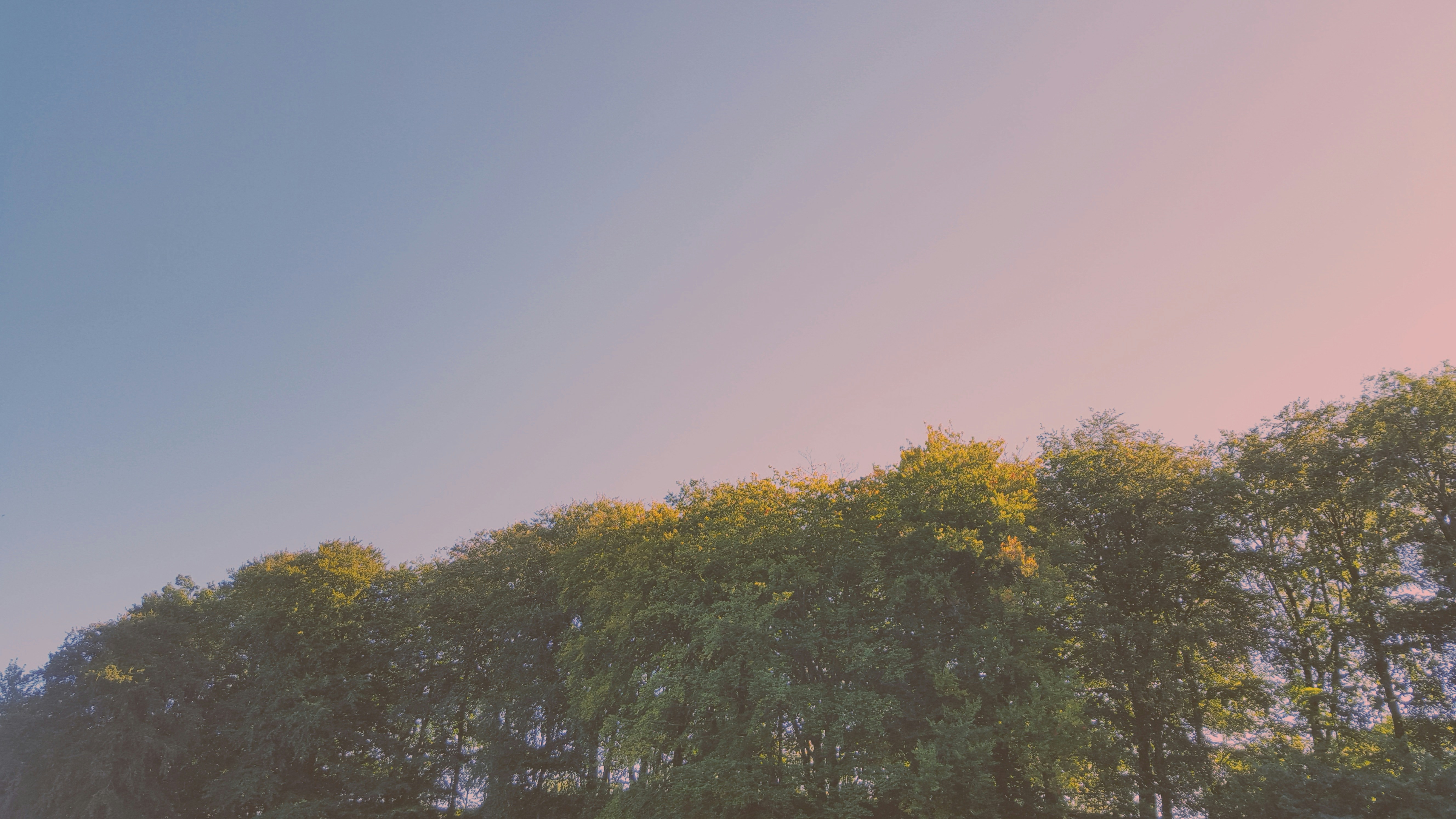 Free Unsplash photo from Benjamin Hemati