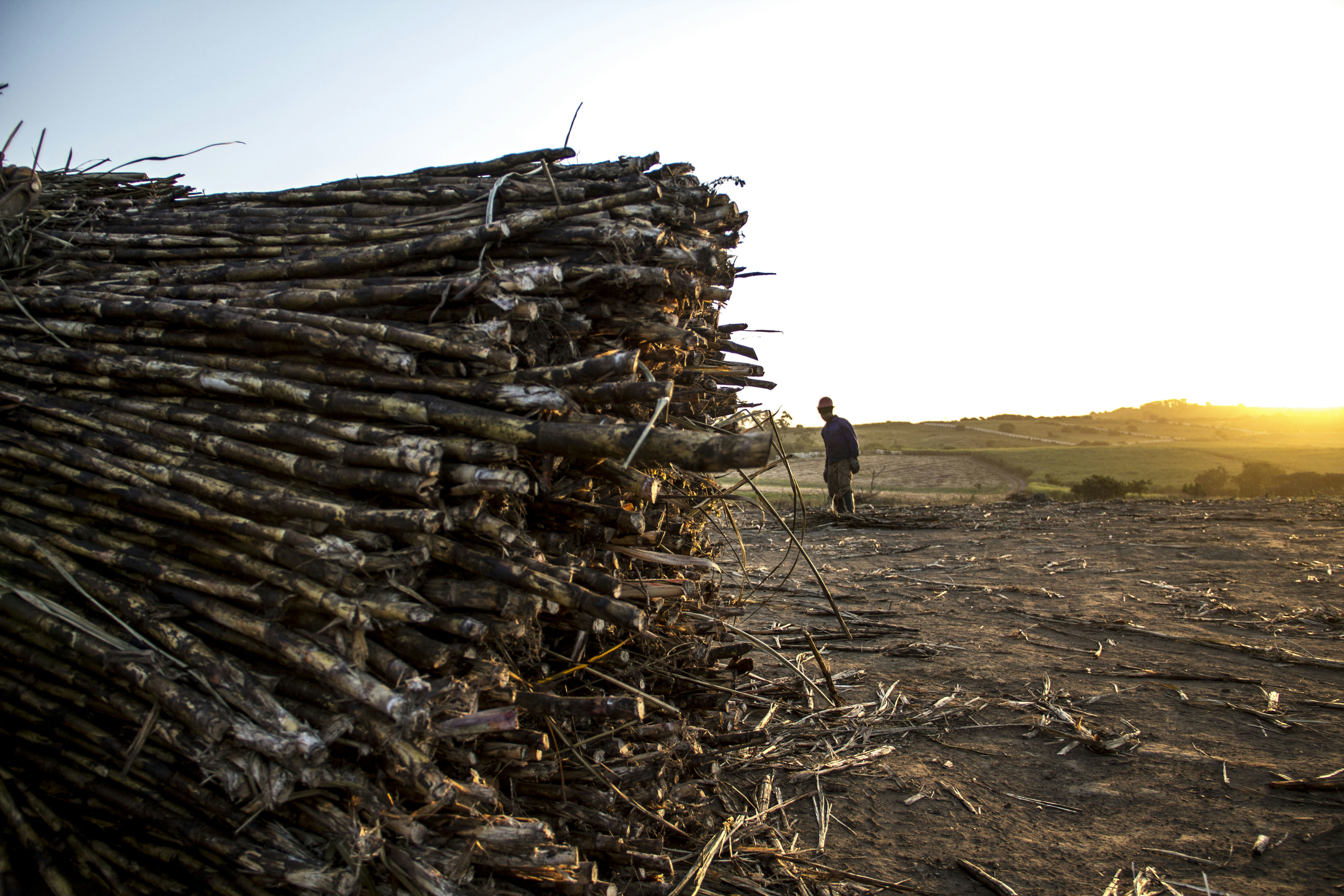 Free Unsplash photo from Jean Gerber