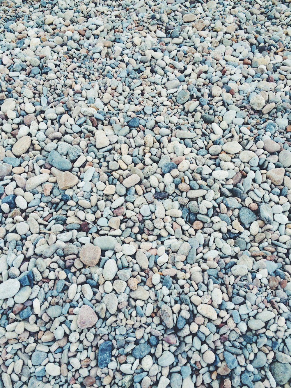pebbles lot