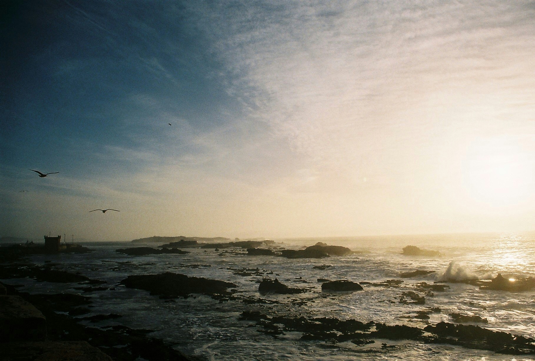 Free Unsplash photo from Fernando Paredes Murillo