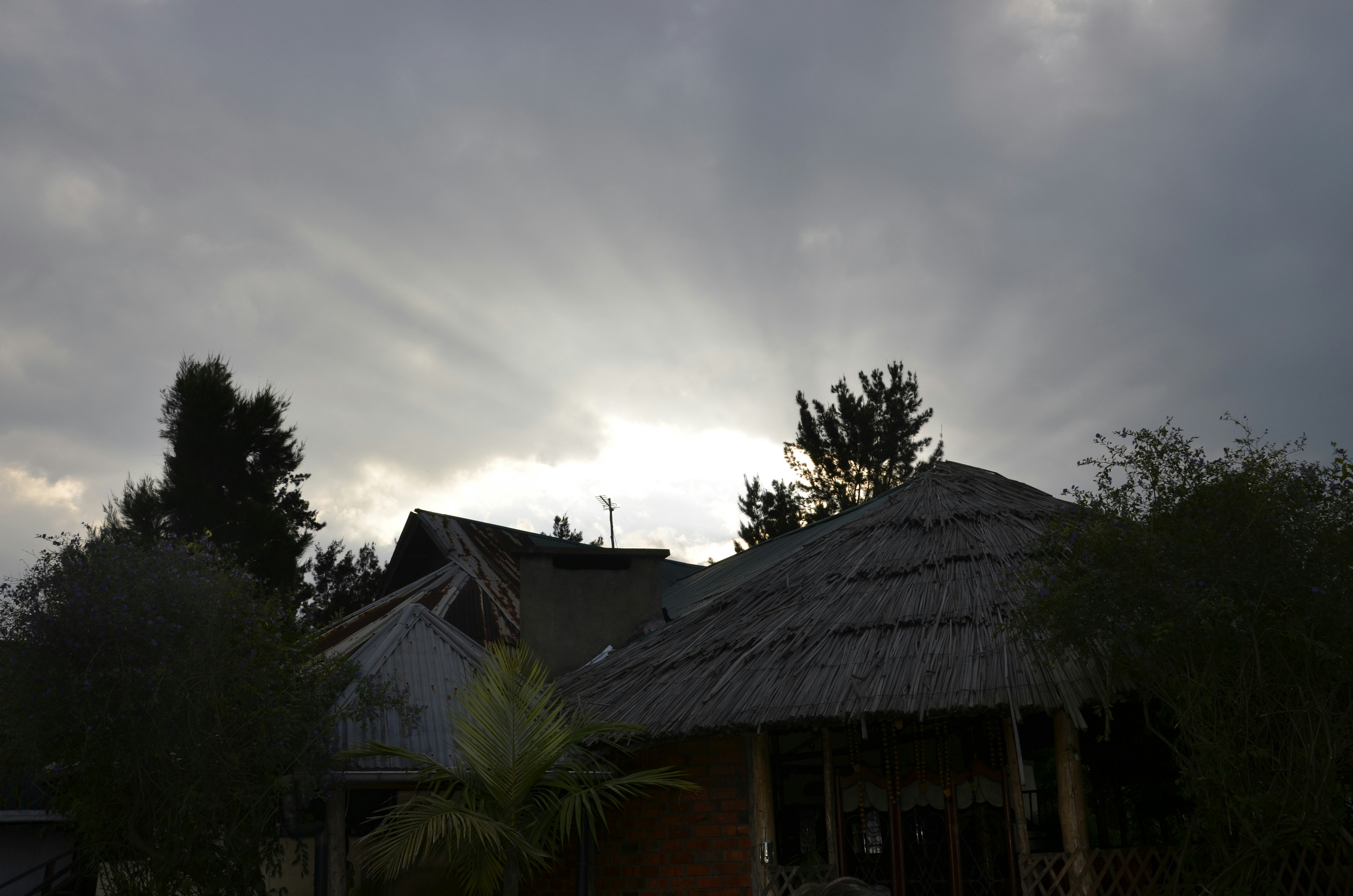 Free Unsplash photo from mukesh kumar