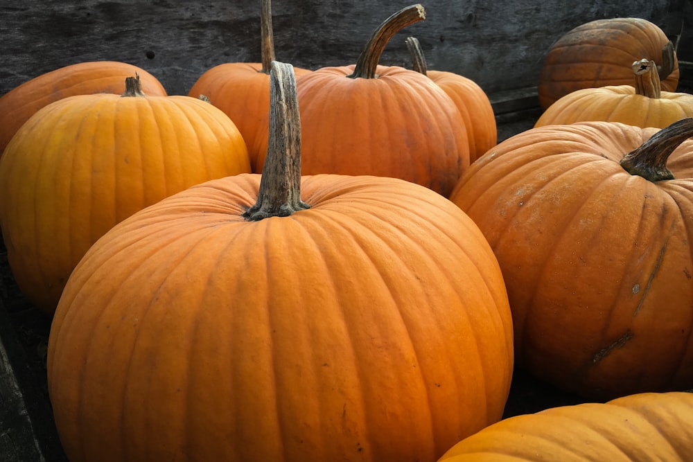 pumpkin lot