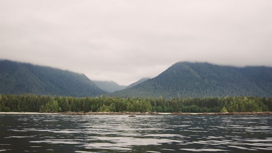landscape photo of mountains and trees in Tofino Canada