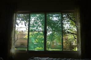 The room’s picturesque window with curtains drawn back, revealing greenery outside.