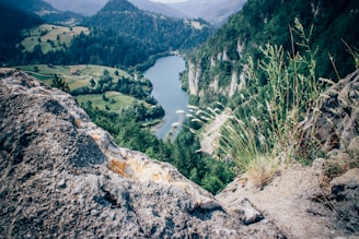 A winding river cutting through a lush green valley, viewed from a high vantage point.