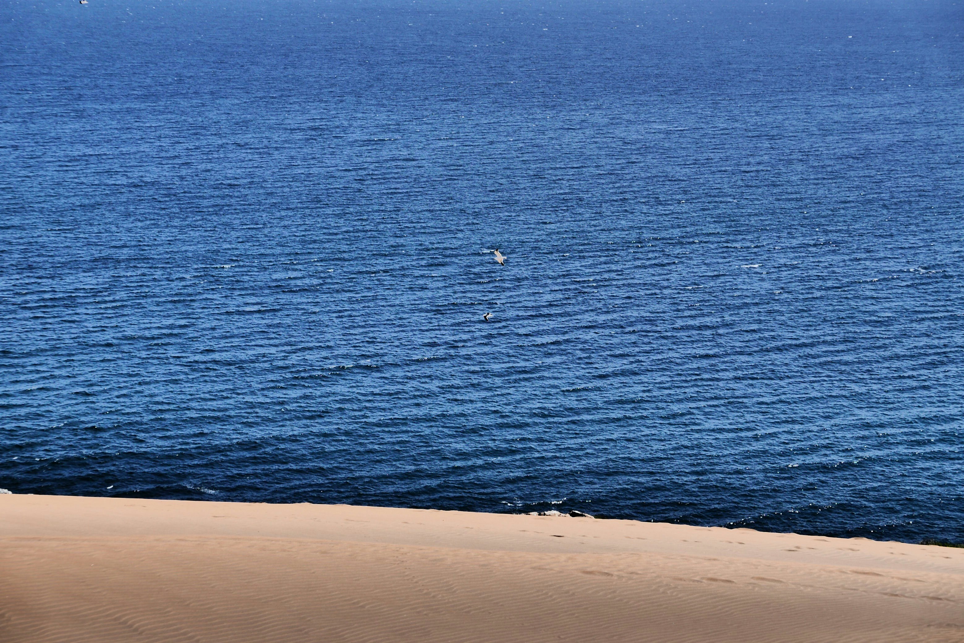 Free Unsplash photo from Ricardo Riederer