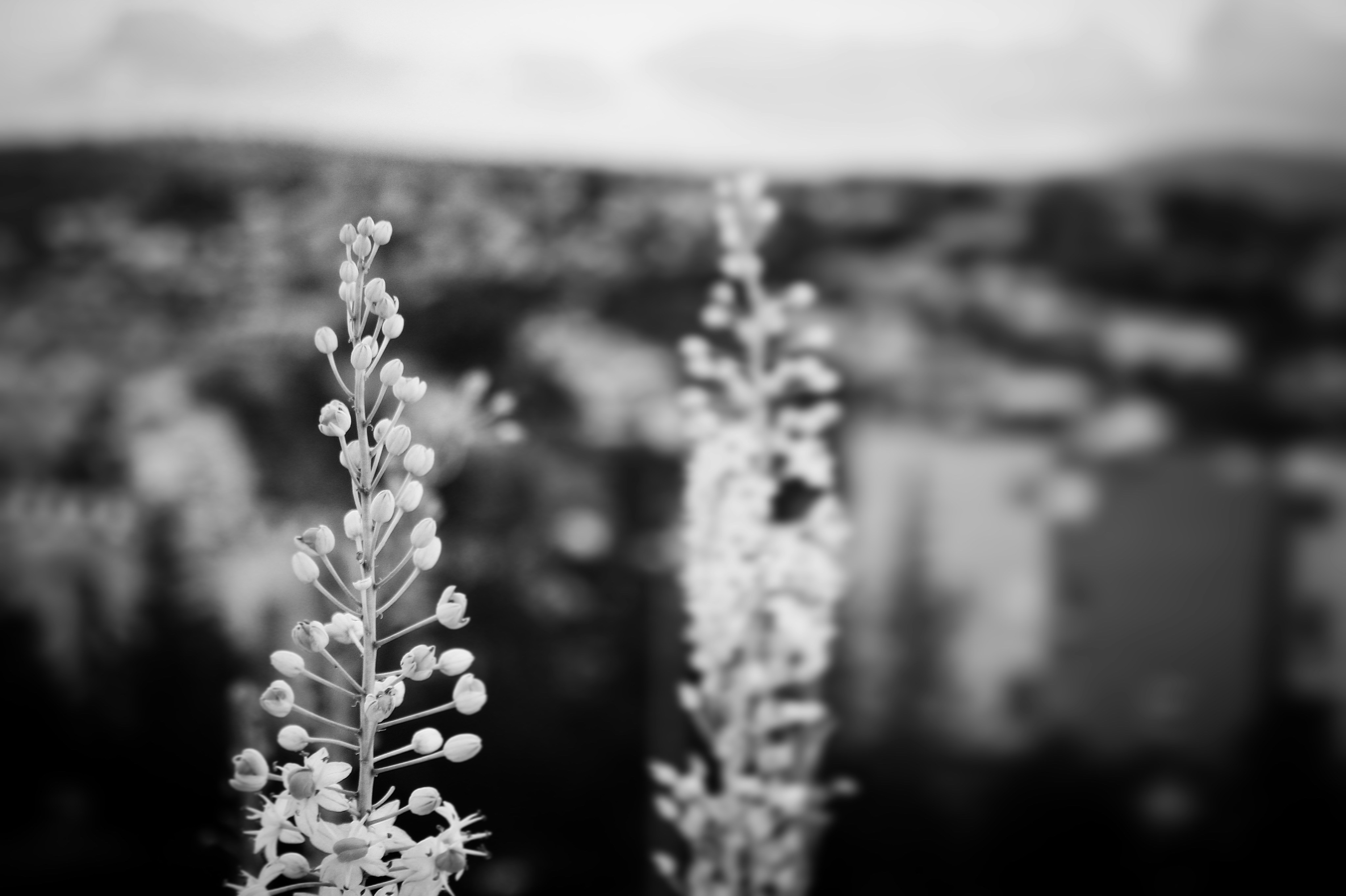 Photo By Mihail Ribkin