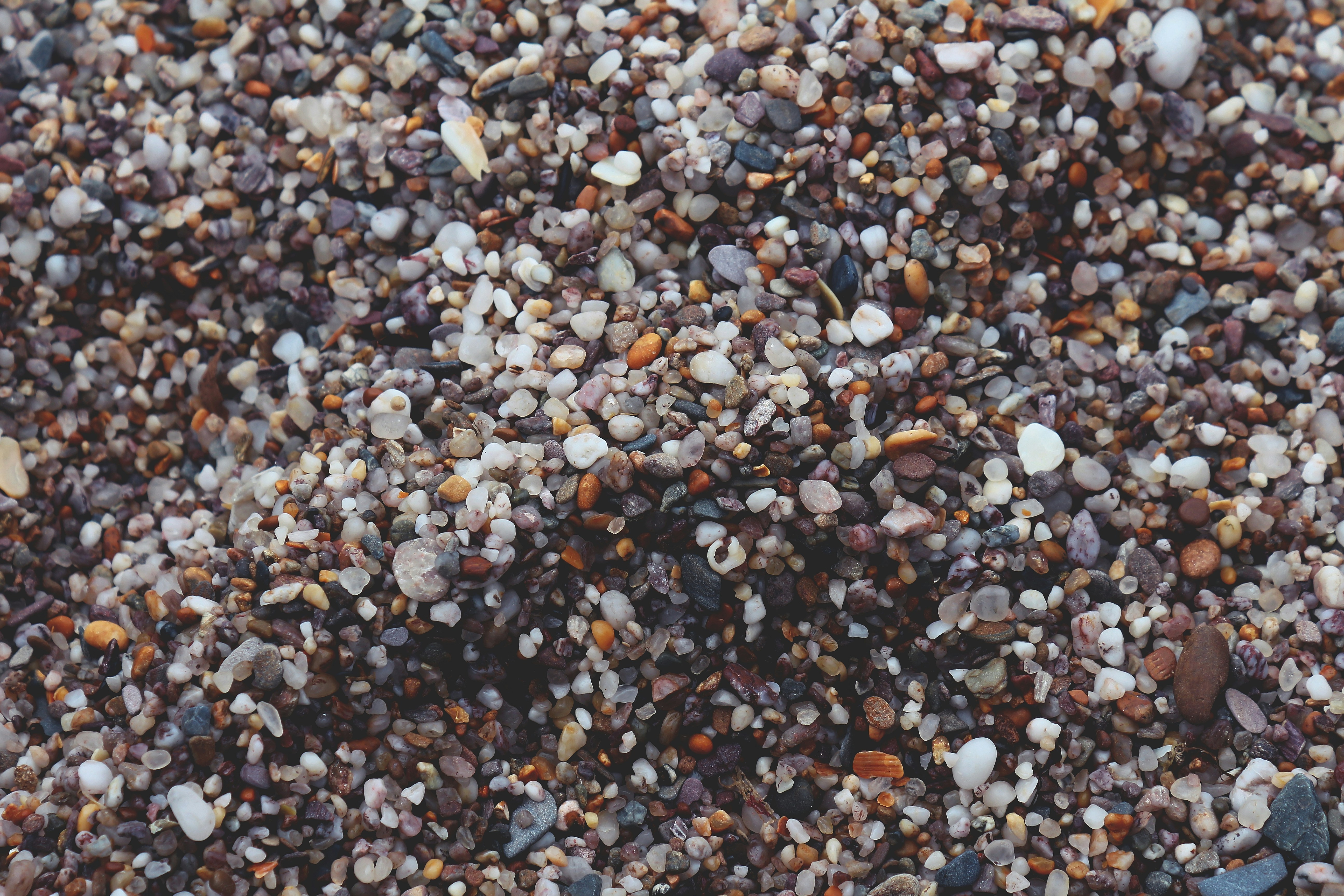 The Connection Between Oxalates And Kidney Stones: What You Need To Know
