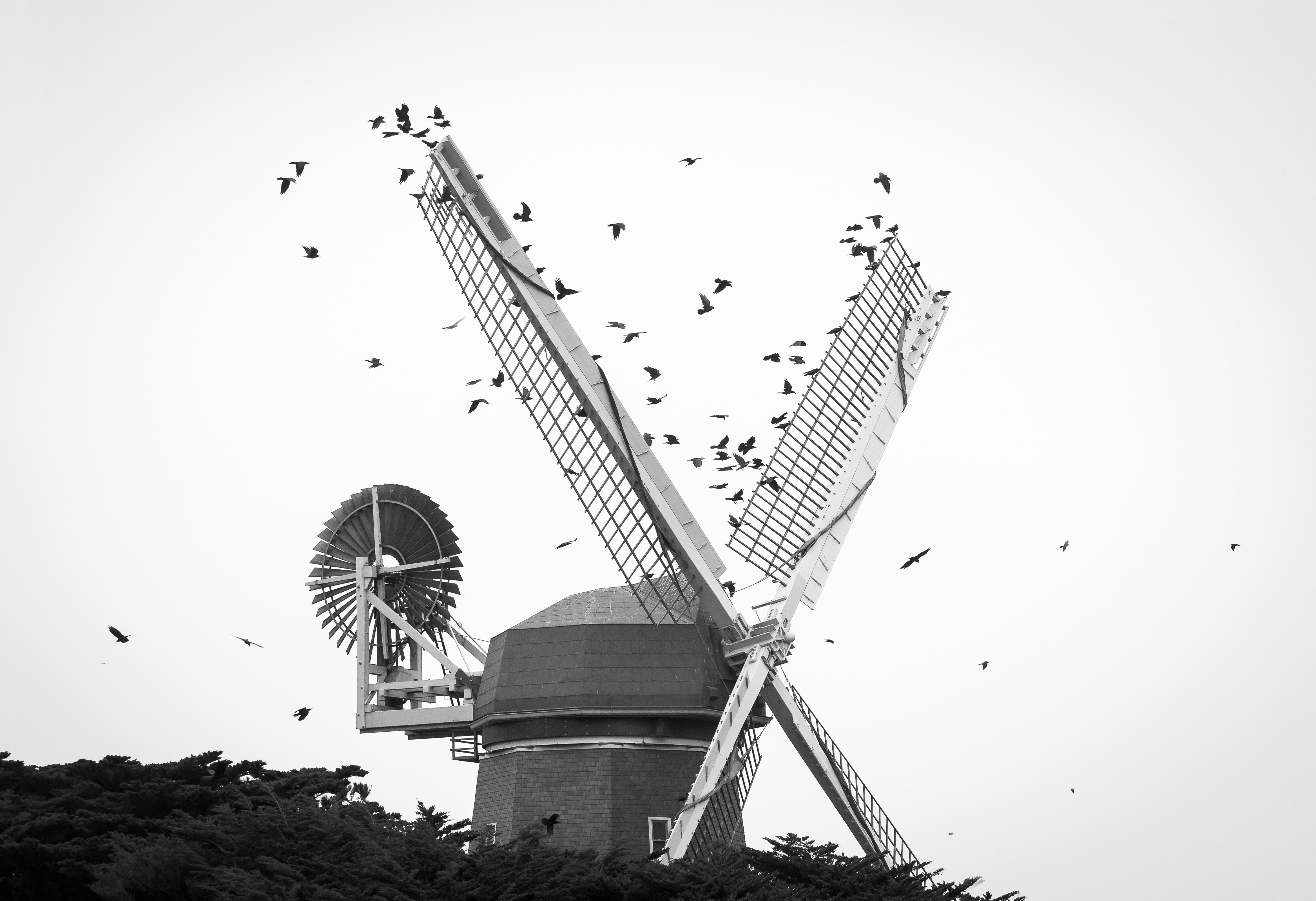 Free Unsplash photo from Ryan Brignoni